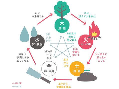 木火土金水 性格|【四柱推命】水の五行の性格